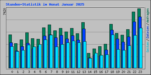 Stunden-Statistik im Monat Januar 2025