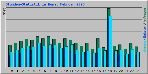 Stunden-Statistik im Monat Februar 2025
