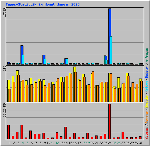 Tages-Statistik im Monat Januar 2025