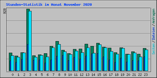 Stunden-Statistik im Monat November 2020