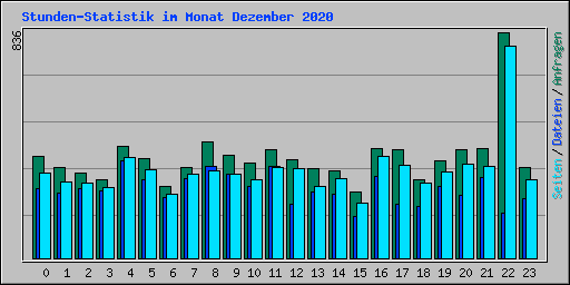 Stunden-Statistik im Monat Dezember 2020
