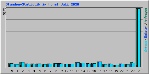 Stunden-Statistik im Monat Juli 2020