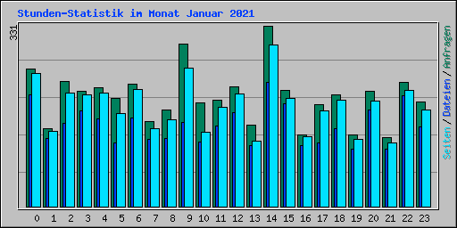 Stunden-Statistik im Monat Januar 2021