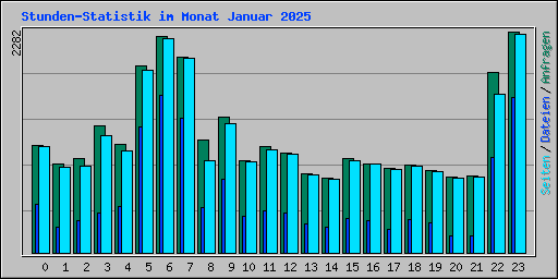 Stunden-Statistik im Monat Januar 2025