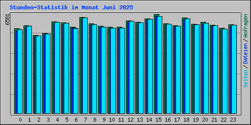 Stunden-Statistik im Monat Juni 2025