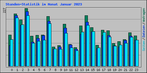 Stunden-Statistik im Monat Januar 2023